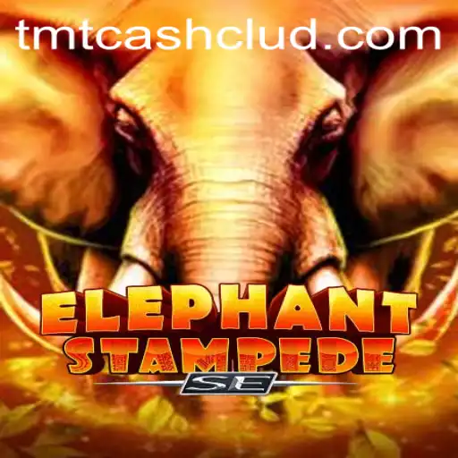 ElephantStampedeSE: Unleashing the TMTCash Experience